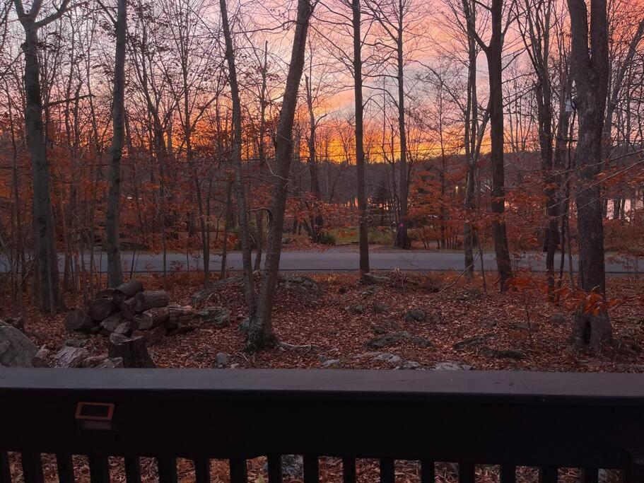 Stylish And Cozy Cabin, Walking Distance To Big Bass Lake Gouldsboro Екстериор снимка
