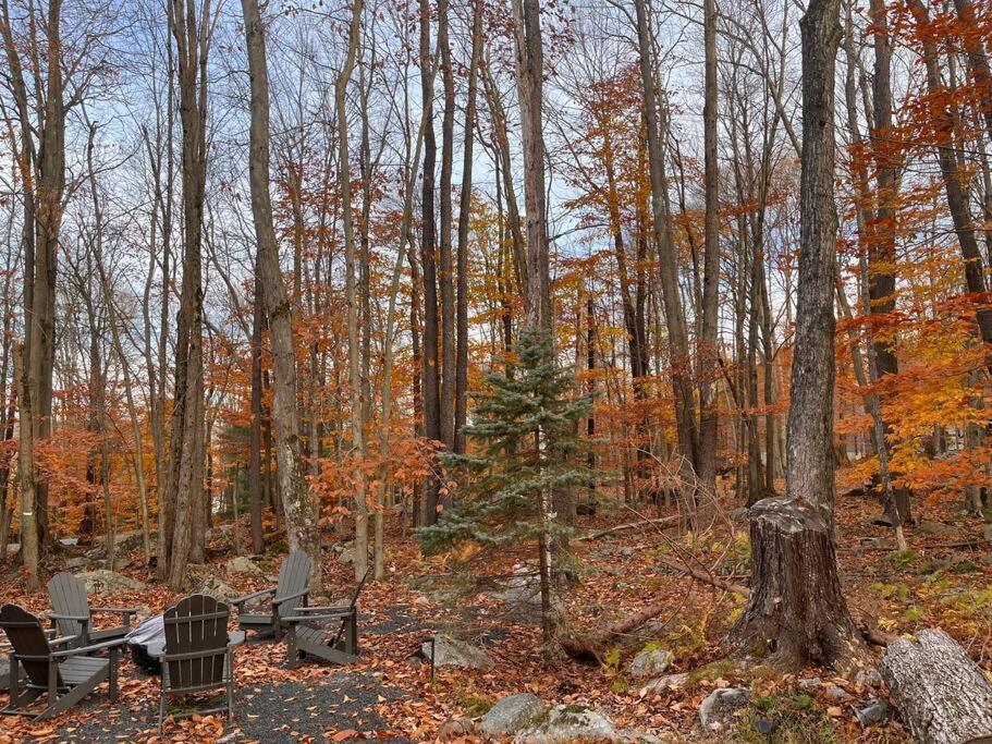 Stylish And Cozy Cabin, Walking Distance To Big Bass Lake Gouldsboro Екстериор снимка