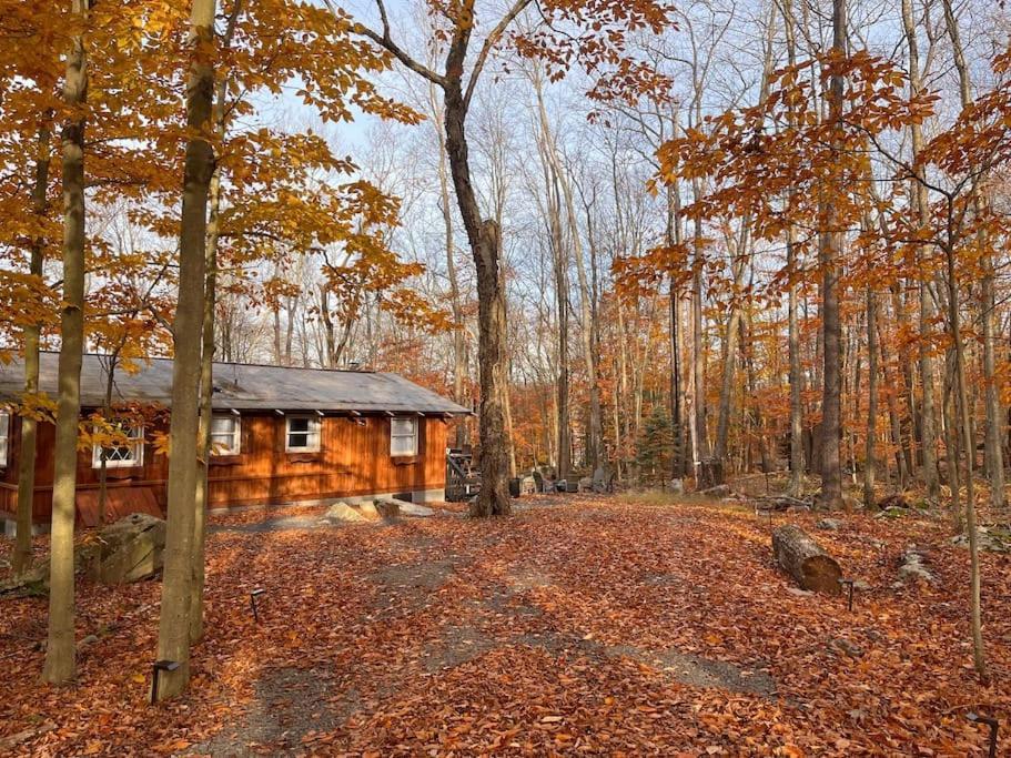 Stylish And Cozy Cabin, Walking Distance To Big Bass Lake Gouldsboro Екстериор снимка